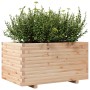 Massive Holzblumenkasten aus Kiefer 90x60x49,5 cm von , Töpfe und Pflanzgefäße - Ref: Foro24-847383, Preis: 131,35 €, Rabatt: %