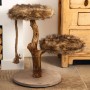 Designed by Lotte Aviva wooden scratching post 50x50x68 cm by Designed by Lotte, Cat furniture - Ref: Foro24-431687, Price: 1...