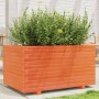 Solid pine wood planter in brown wax 90x60x49.5 cm by , Pots and planters - Ref: Foro24-847385, Price: 156,76 €, Discount: %