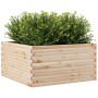 Jardinera de madera maciza de pino 90x90x46 cm de , Maceteros y jardineras - Ref: Foro24-3282424, Precio: 165,48 €, Descuento: %