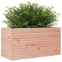 Jardinera de madera maciza Douglas 90x40x46 cm de , Maceteros y jardineras - Ref: Foro24-3282447, Precio: 131,29 €, Descuento: %