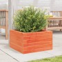 Jardinera de madera maciza de pino marrón cera 40x40x23 cm de , Maceteros y jardineras - Ref: Foro24-847180, Precio: 52,99 €,...