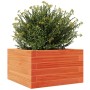 Massive Holzblumenkasten aus braun gewachster Kiefer 40x40x23 cm. von , Töpfe und Pflanzgefäße - Ref: Foro24-847180, Preis: 5...