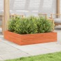 Solid pine wood planter in brown wax 100x100x23 cm by , Pots and planters - Ref: Foro24-847210, Price: 92,24 €, Discount: %