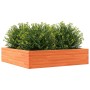 Solid pine wood planter in brown wax 100x100x23 cm by , Pots and planters - Ref: Foro24-847210, Price: 92,24 €, Discount: %