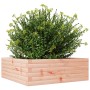 Jardinera madera maciza de abeto Douglas 70x70x23 cm de , Maceteros y jardineras - Ref: Foro24-847196, Precio: 59,92 €, Descu...