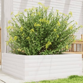 Jardinera de madera maciza de pino blanca 70x70x23 cm de , Maceteros y jardineras - Ref: Foro24-847194, Precio: 81,99 €, Desc...