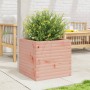 Jardinera madera maciza de abeto Douglas 50x50x45,5 cm de , Maceteros y jardineras - Ref: Foro24-847246, Precio: 81,80 €, Des...