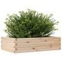 Jardinera de madera maciza de pino 90x60x23 cm de , Maceteros y jardineras - Ref: Foro24-847233, Precio: 61,19 €, Descuento: %