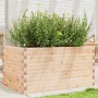 Jardinera de madera maciza de pino 90x60x45,5 cm de , Maceteros y jardineras - Ref: Foro24-847278, Precio: 113,11 €, Descuent...