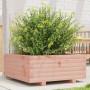 Jardinera madera maciza de abeto Douglas 60x60x26,5 cm de , Maceteros y jardineras - Ref: Foro24-847301, Precio: 64,71 €, Des...