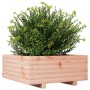 Jardinera madera maciza de abeto Douglas 60x60x26,5 cm de , Maceteros y jardineras - Ref: Foro24-847301, Precio: 64,71 €, Des...