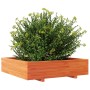 Solid pine wood planter in brown wax 100x100x26.5 cm by , Pots and planters - Ref: Foro24-847320, Price: 125,36 €, Discount: %