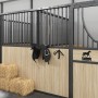 Soporte de bridas de pared de hierro negro de , Accesorios para riendas de caballos - Ref: Foro24-172449, Precio: 22,99 €, De...