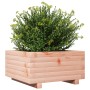 Solid Douglas wood planter 50x50x26.5 cm by , Pots and planters - Ref: Foro24-847296, Price: 55,35 €, Discount: %