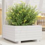 Jardinera de madera maciza de pino blanco 50x50x26,5 cm de , Maceteros y jardineras - Ref: Foro24-847294, Precio: 62,27 €, De...