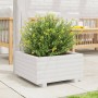 Jardinera de madera maciza de pino blanco 50x50x26,5 cm de , Maceteros y jardineras - Ref: Foro24-847294, Precio: 62,27 €, De...