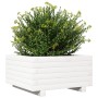 Jardinera de madera maciza de pino blanco 50x50x26,5 cm de , Maceteros y jardineras - Ref: Foro24-847294, Precio: 62,27 €, De...