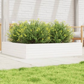 Jardinera de madera maciza de pino blanca 110x110x23 cm de , Maceteros y jardineras - Ref: Foro24-847214, Precio: 100,99 €, D...