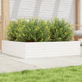 Jardinera madera maciza de pino blanco 100x100x23 cm de , Maceteros y jardineras - Ref: Foro24-847209, Precio: 92,99 €, Descu...