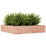 Jardinera madera maciza de abeto Douglas 110x110x23 cm de , Maceteros y jardineras - Ref: Foro24-847216, Precio: 89,99 €, Des...