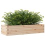 Jardinera de madera maciza de pino 110x40x23 cm de , Maceteros y jardineras - Ref: Foro24-847228, Precio: 60,99 €, Descuento: %