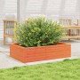 Solid pine wood planter in brown wax 90x60x23 cm by , Pots and planters - Ref: Foro24-847235, Price: 72,65 €, Discount: %