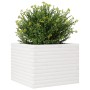 Jardinera de madera maciza de pino blanco 60x60x45,5 cm de , Maceteros y jardineras - Ref: Foro24-847249, Precio: 108,79 €, D...