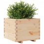 Jardinera madera maciza de pino 60x60x49,5 cm de , Maceteros y jardineras - Ref: Foro24-847358, Precio: 102,99 €, Descuento: %