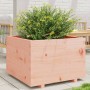 Solid Douglas fir wood planter 70x70x49.5 cm by , Pots and planters - Ref: Foro24-847366, Price: 127,91 €, Discount: %