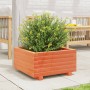 Jardinera madera maciza de pino marrón cera 50x50x26,5 cm de , Maceteros y jardineras - Ref: Foro24-847295, Precio: 62,27 €, ...