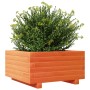 Jardinera madera maciza de pino marrón cera 50x50x26,5 cm de , Maceteros y jardineras - Ref: Foro24-847295, Precio: 62,27 €, ...