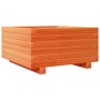 Jardinera madera maciza de pino marrón cera 50x50x26,5 cm de , Maceteros y jardineras - Ref: Foro24-847295, Precio: 62,27 €, ...