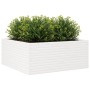 Jardinera madera maciza de pino blanco 110x110x46 cm de , Maceteros y jardineras - Ref: Foro24-3282435, Precio: 239,52 €, Des...