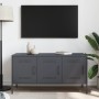 TV-Möbel aus anthrazitgrauem Stahl, 100,5x39x50,5 cm. von , TV-Möbel - Ref: Foro24-842948, Preis: 124,97 €, Rabatt: %