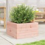 Jardinera madera maciza de abeto Douglas 40x40x23 cm de , Maceteros y jardineras - Ref: Foro24-847181, Precio: 38,79 €, Descu...