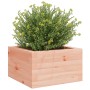 Jardinera madera maciza de abeto Douglas 40x40x23 cm de , Maceteros y jardineras - Ref: Foro24-847181, Precio: 38,79 €, Descu...