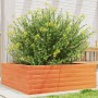 Solid pine wood brown waxed planter 70x70x23 cm by , Pots and planters - Ref: Foro24-847195, Price: 67,99 €, Discount: %