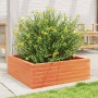 Jardinera de madera maciza pino marrón cera 70x70x23 cm de , Maceteros y jardineras - Ref: Foro24-847195, Precio: 67,46 €, De...