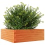 Jardinera de madera maciza pino marrón cera 70x70x23 cm de , Maceteros y jardineras - Ref: Foro24-847195, Precio: 67,46 €, De...