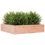 Solid Douglas fir wood planter 100x100x23 cm by , Pots and planters - Ref: Foro24-847211, Price: 82,99 €, Discount: %