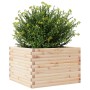 Jardinera de madera maciza de pino 70x70x45,5 cm de , Maceteros y jardineras - Ref: Foro24-847253, Precio: 103,99 €, Descuent...