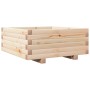 Jardinera de madera maciza de pino 60x60x26,5 cm de , Maceteros y jardineras - Ref: Foro24-847298, Precio: 61,99 €, Descuento: %