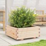 Jardinera de madera maciza de pino 60x60x26,5 cm de , Maceteros y jardineras - Ref: Foro24-847298, Precio: 61,99 €, Descuento: %