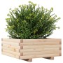 Jardinera de madera maciza de pino 60x60x26,5 cm de , Maceteros y jardineras - Ref: Foro24-847298, Precio: 61,99 €, Descuento: %