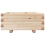 Jardinera de madera maciza de pino 60x60x26,5 cm de , Maceteros y jardineras - Ref: Foro24-847298, Precio: 61,99 €, Descuento: %