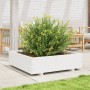 Solid white pine wood planter 90x90x26.5 cm by , Pots and planters - Ref: Foro24-847314, Price: 111,99 €, Discount: %