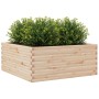 Jardinera de madera maciza de pino 110x110x46 cm de , Maceteros y jardineras - Ref: Foro24-3282434, Precio: 200,99 €, Descuen...