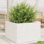 Jardinera madera maciza de pino blanco 70x70x46 cm de , Maceteros y jardineras - Ref: Foro24-3282415, Precio: 159,16 €, Descu...