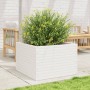 Jardinera madera maciza de pino blanco 70x70x46 cm de , Maceteros y jardineras - Ref: Foro24-3282415, Precio: 159,16 €, Descu...